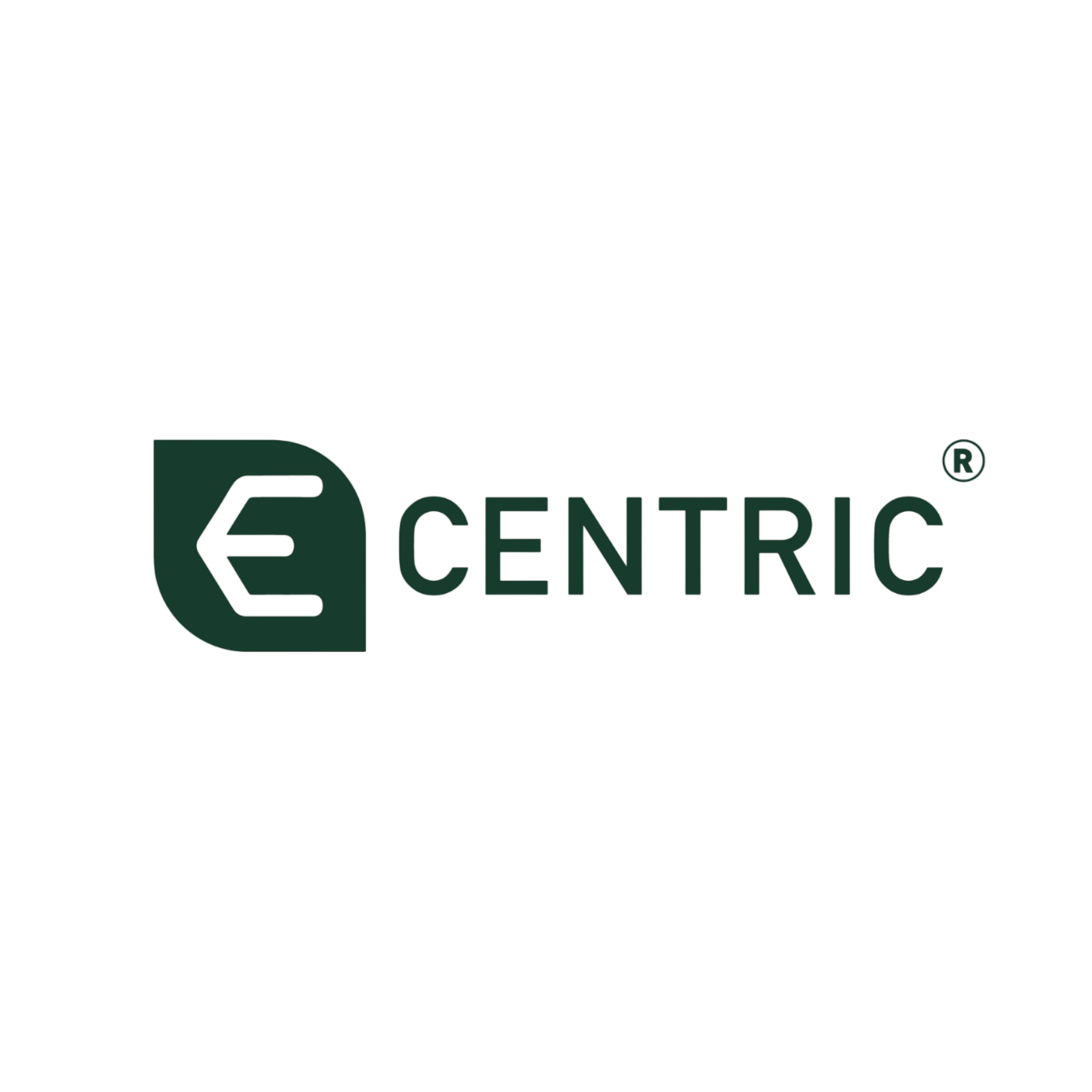 Ecentric logo