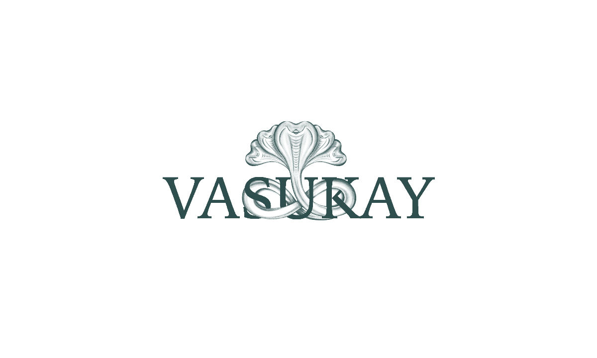 Vasukay logo
